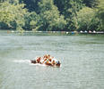 nopaddle2