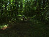 dsc05010