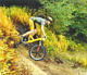 dwn10002
