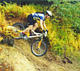 dwn10003