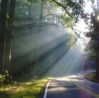 sunrays