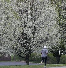 Webark 5K-Photo by Julie Black