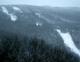 Snowshoe Resort
